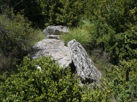 Valdepeña trikuharria 2