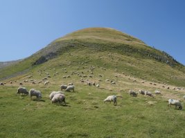 Iparraldeko bizkarra, Iturrurdinetako lepotik, Otsogorrigaina.