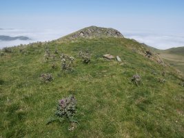 Otsogorrigaina, hegoaldeko gain zabala