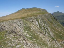 Otsogorrigaina, Otsogorritxipitik