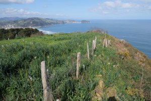 Ameztimendi, Zarautz aldeko bizkarra