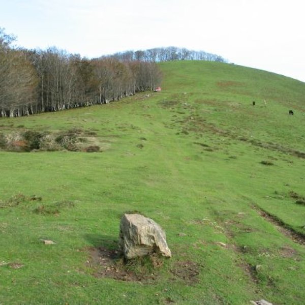 Gain aldeko ikuspegia, M.tik