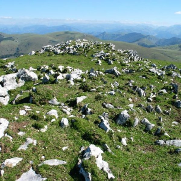 Tontorrean karraitz mutur batzuk besterik ez