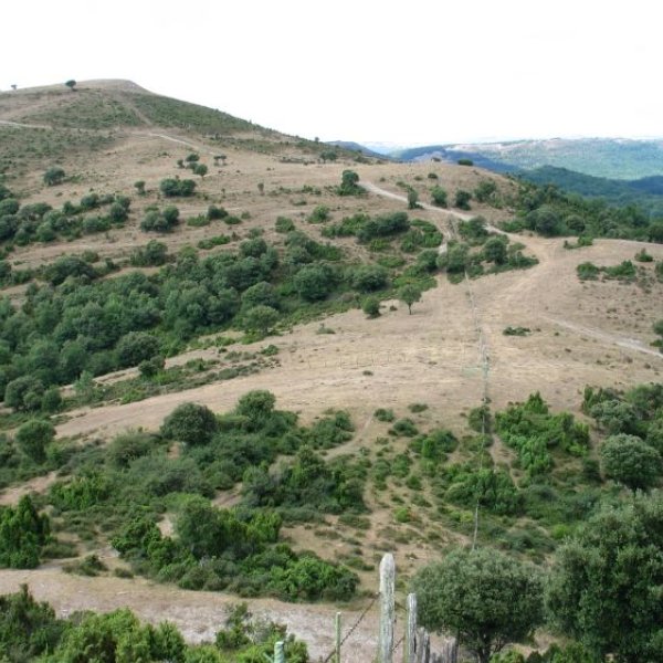 Armikelo, Arrato aldetik ikusita