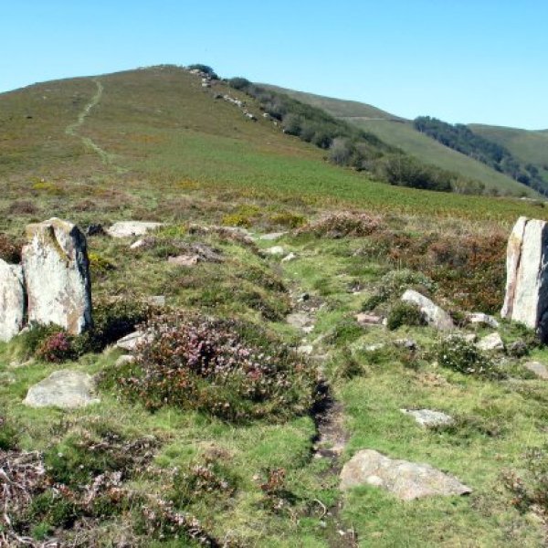 Olegi aldeko estazio megalitikoa