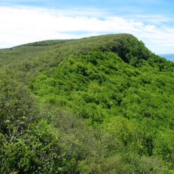 Gainaldeko pagadia ekialdetik ikusita