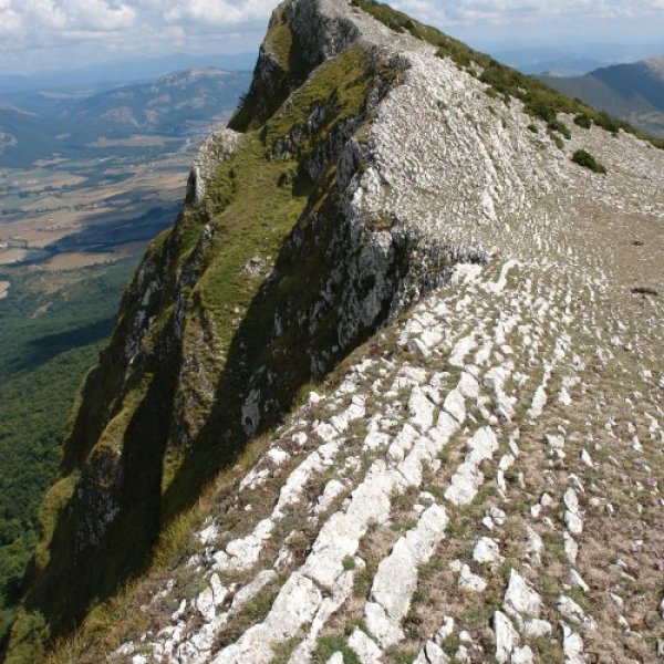 Tontorra mendebaldetik