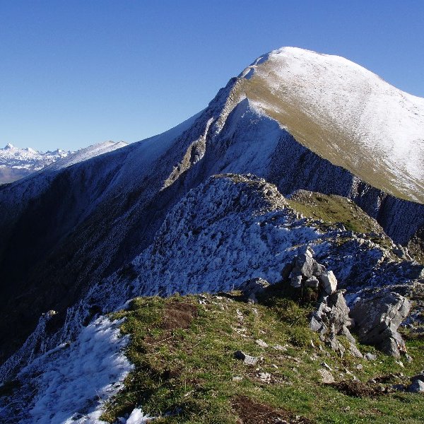 Zazpigainako gailurra eta Ori 