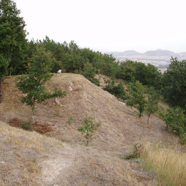 Goialdearen ikuspegia