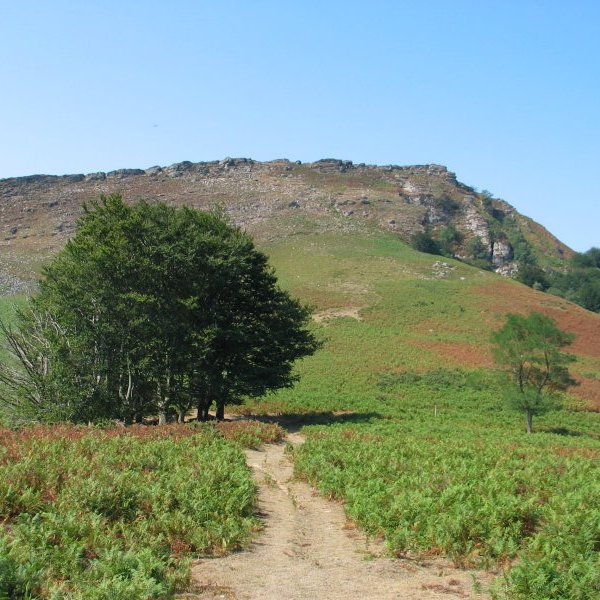 Meate aldetik (IE) ikusita