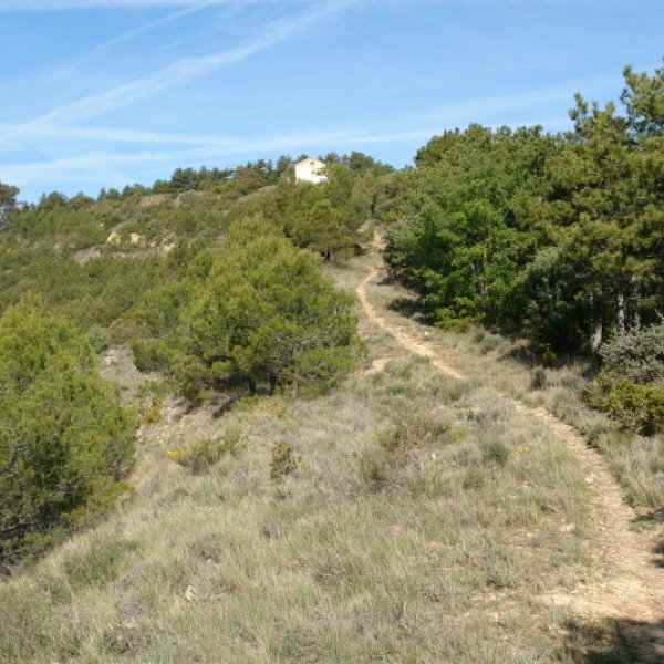 San Migel ermitara igotzeko bidea, Ekialdeko bizkarretik gora