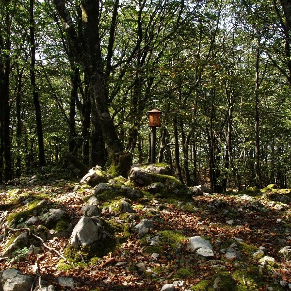 Larrazpilgo gailurra