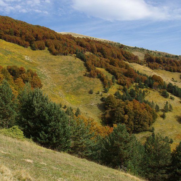 Larrondoko gailurra azken maldetatik