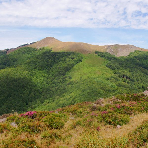 Arteko Gaineko gailurra eta Xuriain