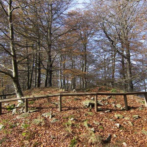 Txaradigorri tontorra