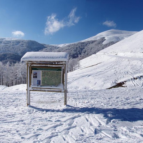 Artesiagako mendatea