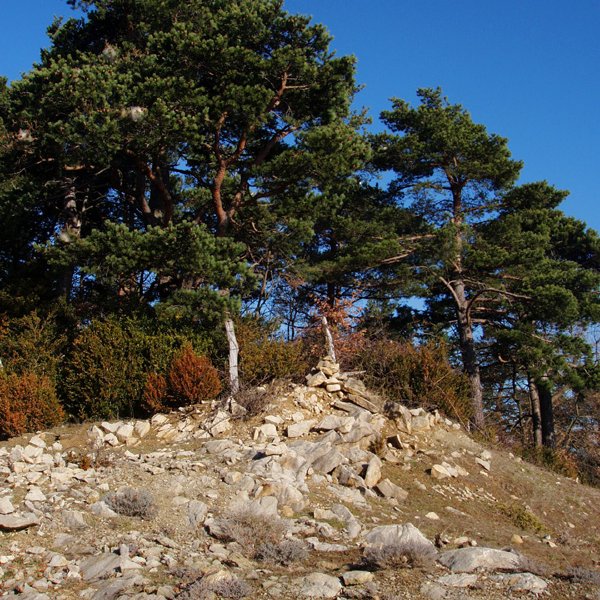 Maliturri (Kozkorro)ko gailurra