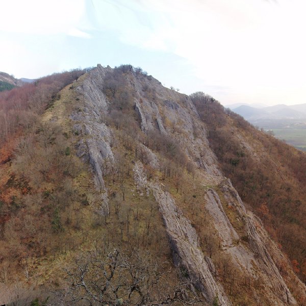 Aritzabal edo Urbaran 