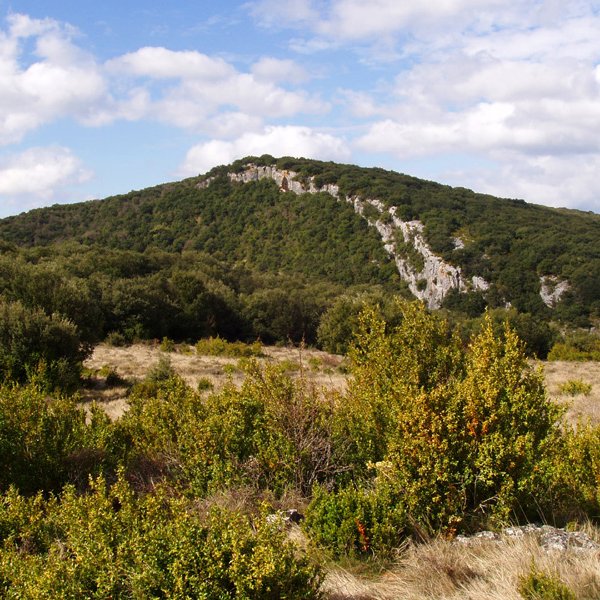 Boluntza-Petrina Peñaskatik 