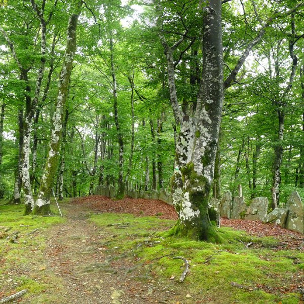 Ezkirin (Añolatz), gailurra