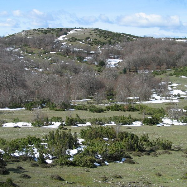 Iparraldeko isurialdea