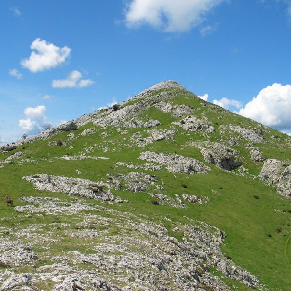 Ekialdeko isurialdea