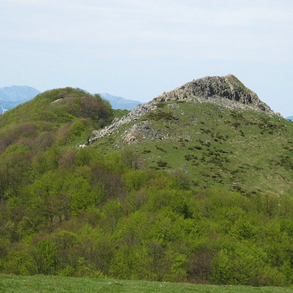 Tontorra Arnaizu aldetik