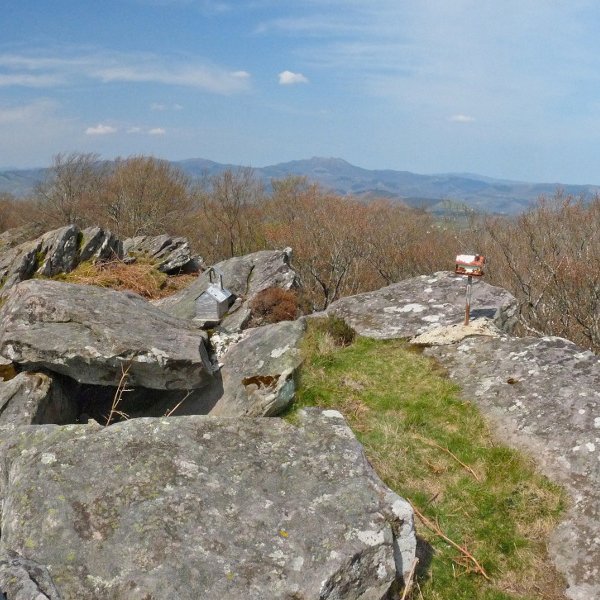 Zentinelako gailurra