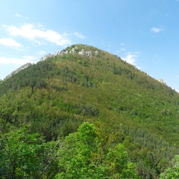 Belabarsaitsa Sanzolotik