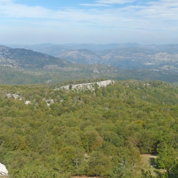 Posteroko Haitza Artxuetatik