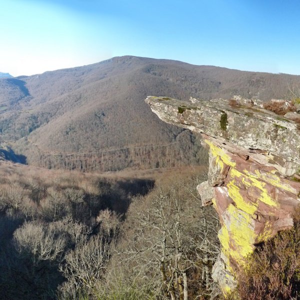 Zamariaingo behatoki zirraragarria