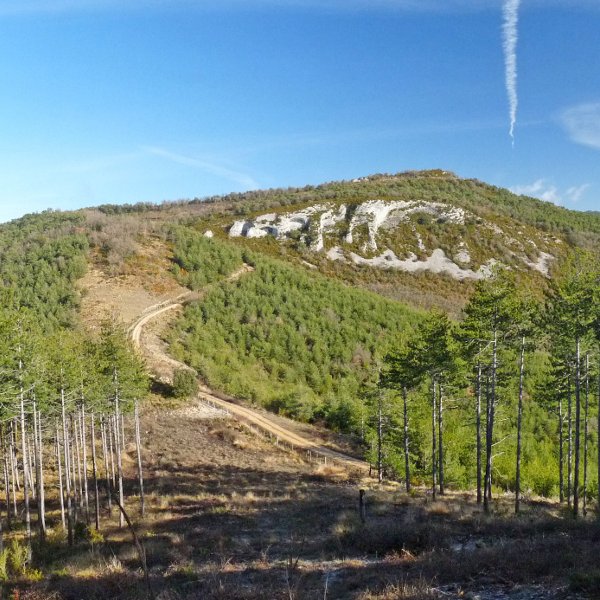 Egulbati Akerregitik