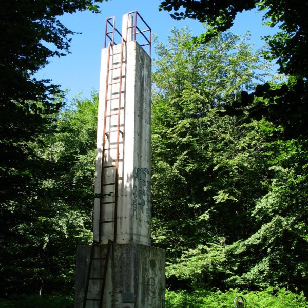 Erpin geodesikoa basoaren erdian