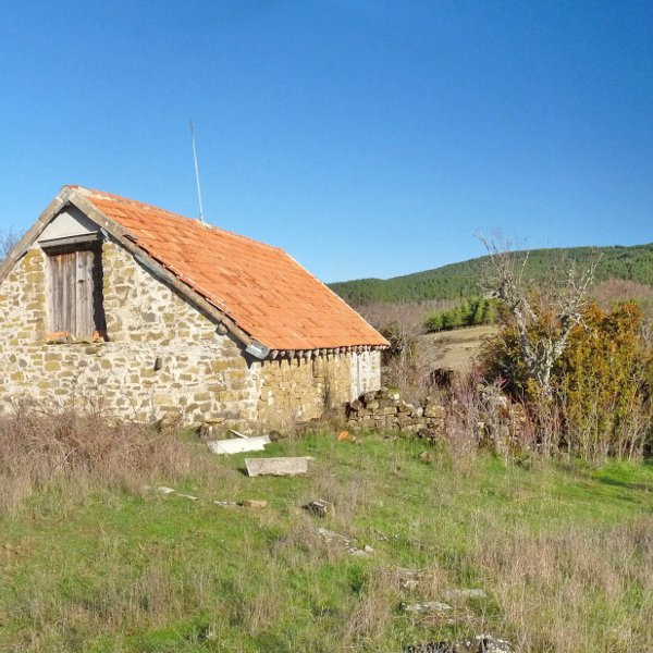 Rosantz borda, Gurutxeako gailurretik hurbil