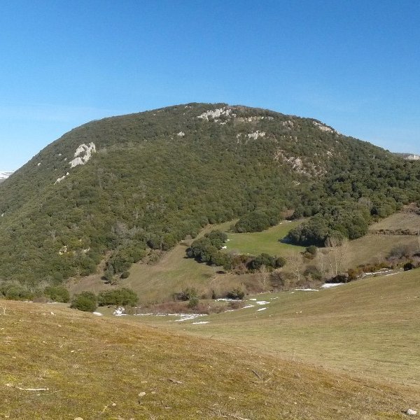 Andaradia Jaitzeko bidetik