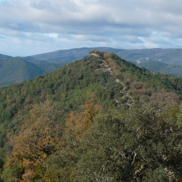 Ezkaraiko harria, Narbaizaren bikia