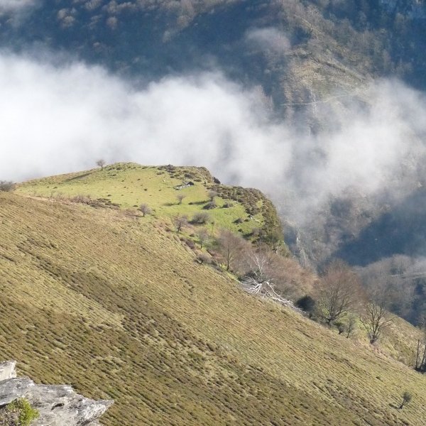 Pilotasoro, Buruzarko gailurretik