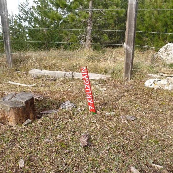 Kruzgaingo burdinaga