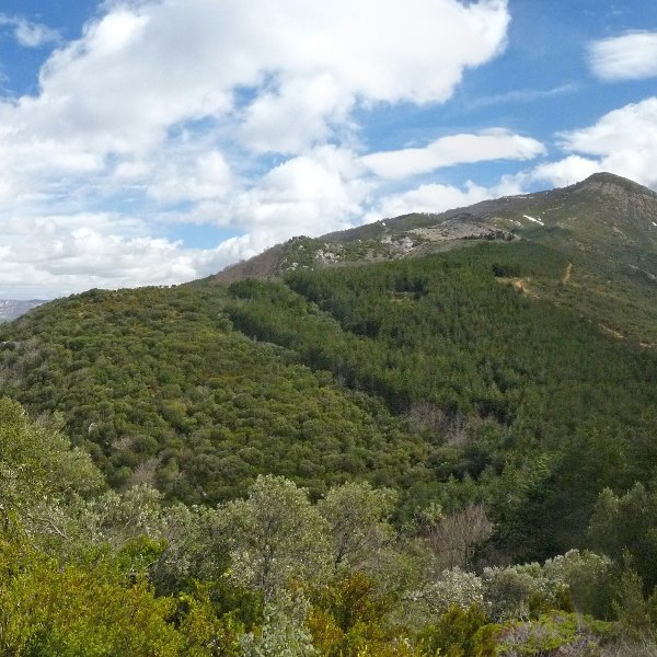 Ioar Sierra Txikitatik