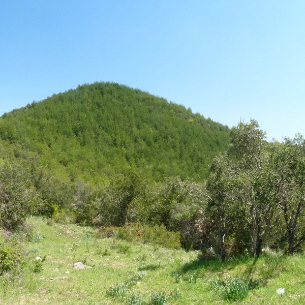 Txubingoko gailur sarria