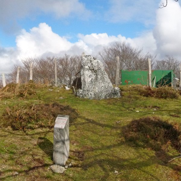 Bidango Gaineko gailurra