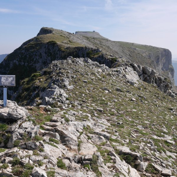 Tontorra eta Beriain