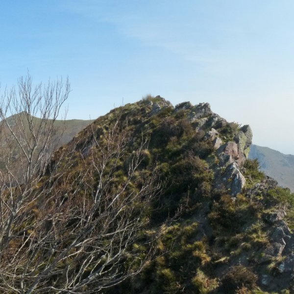 Ttutturruko kaskoko gailurra