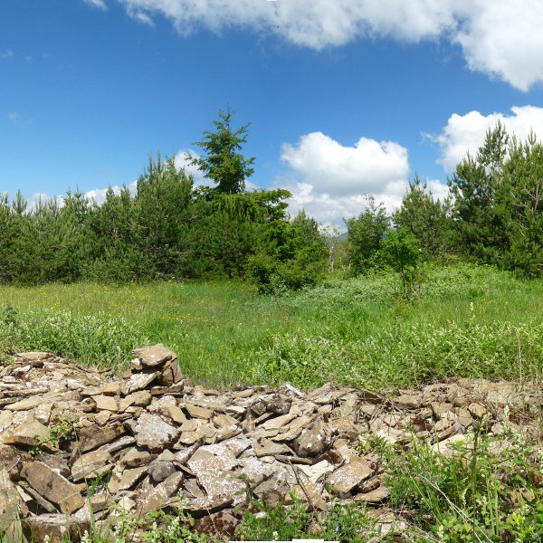 Zamainguruko gailurra