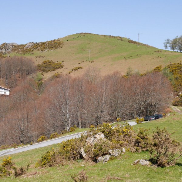 Agiña, mendatearen ingurutik