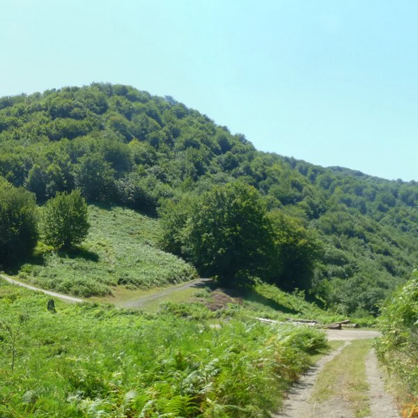 Argibelgo maldak Bidartxoko lepoaren gainean