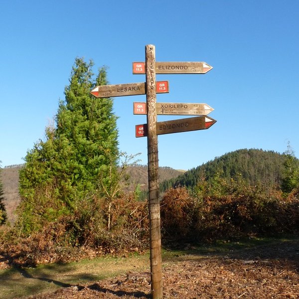 Geziak Ozkaritzko lepoan