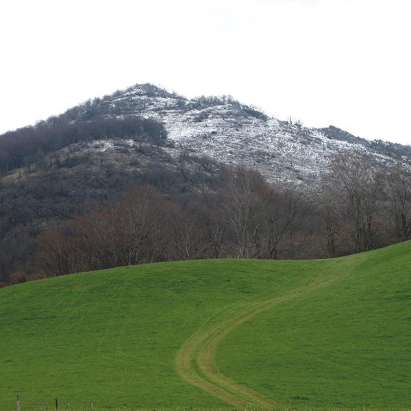 Belhigaina / Pic des Vautours, Lexaria lepotik