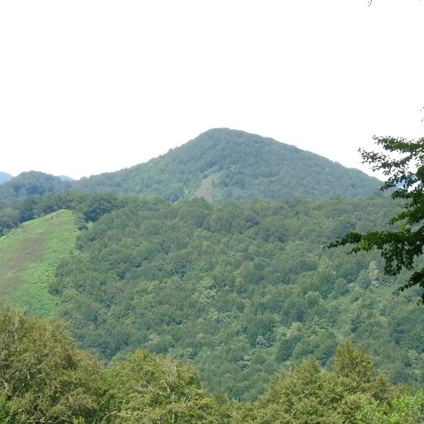 Analaz Urkizu menditik