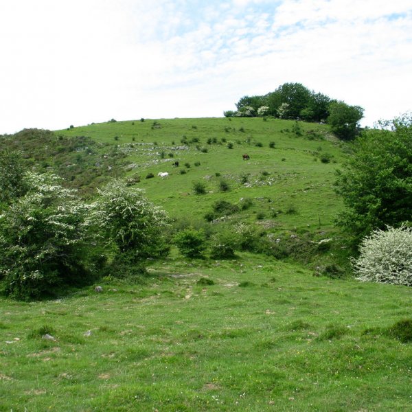 Erroizpe Laarte aldetik